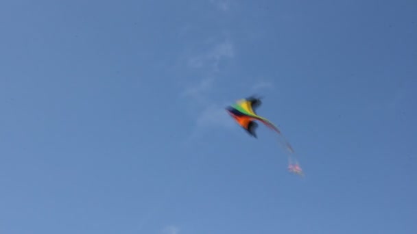 Cerf-volant volant sous le ciel bleu 