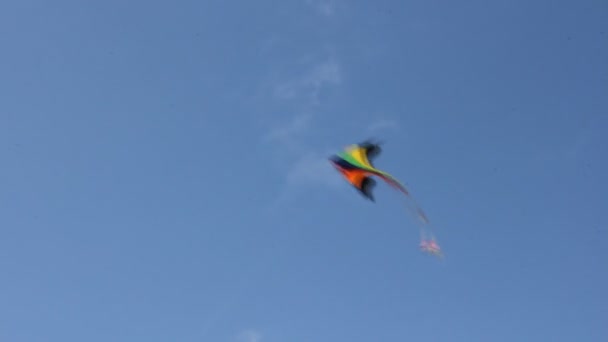 Cometa volando bajo el cielo azul — Vídeo de stock