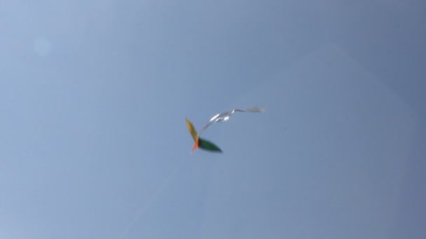 Kite flying under blue sky — Stock Video