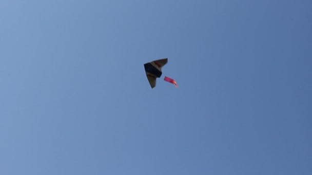 Кайт, летящий под голубым небом — стоковое видео