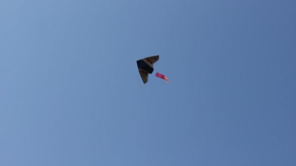 Cometa volando bajo el cielo azul — Vídeos de Stock