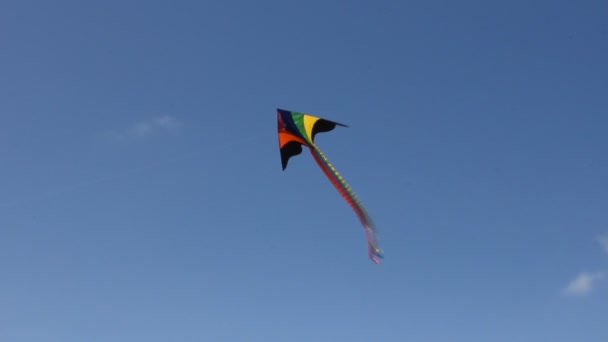 Pipa voando sob o céu azul — Vídeo de Stock