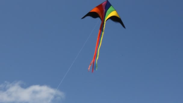 Pipa voando sob o céu azul — Vídeo de Stock