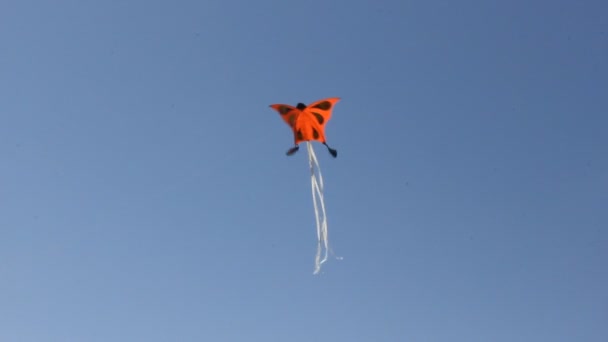 Papagaio voando no céu azul — Vídeo de Stock