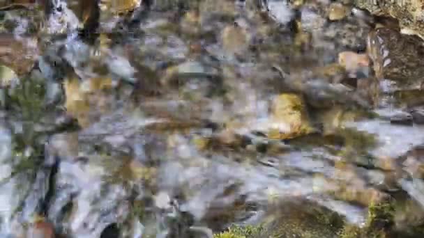 Berg rivier, creek, stenen en water, close-up — Stockvideo