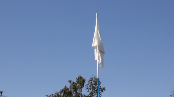 Vlag met de Olympische ringen op hemelachtergrond — Stockvideo