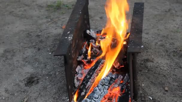 Tűz egy grill — Stok video
