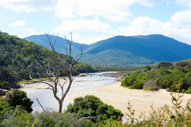 Avustralya 'daki Wilson Promontory Ulusal Parkı' nda gelgit nehri manzarası.