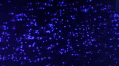 Bulanık ışıkları hızlı hareket ettiren soyut arkaplan