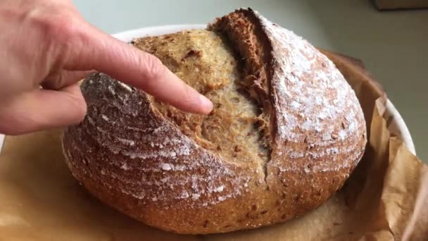 Ψήστης ελέγχει την κρούστα του φρέσκου ψωμιού προζύμης. — Αρχείο Βίντεο