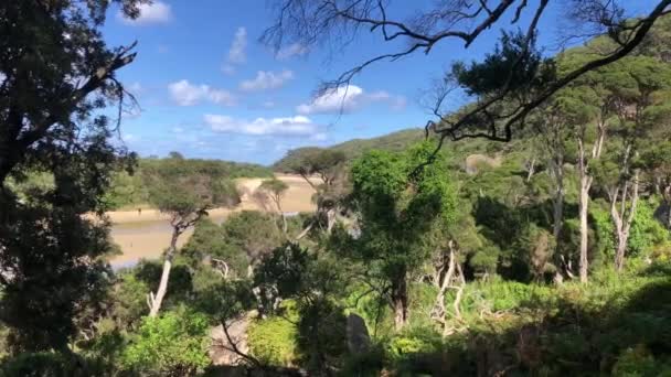 Prachtig uitzicht in Wilsons Promontory, Victoria, Australië. — Stockvideo