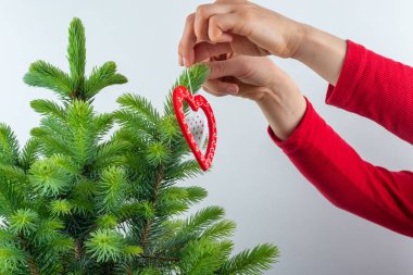 Noel ağacı süslüyorum. Kadınların elleri Noel toplarını ve oyuncaklarını Noel ağacına asıyor.. 