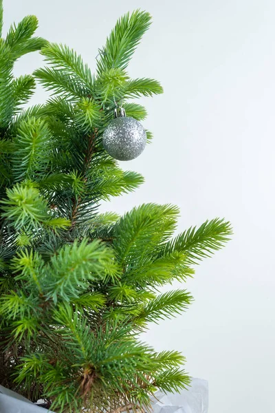 Arbre Noël Minimaliste Avec Boules Noël Argentées Gros Plan — Photo