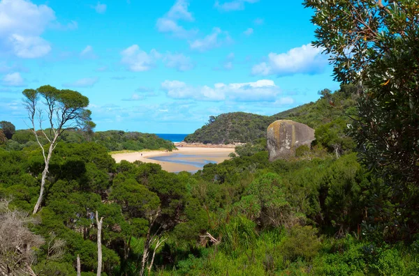 Rio Tidal Parque Nacional Wilsons Promontory Austrália Foto Alta Qualidade — Fotografia de Stock