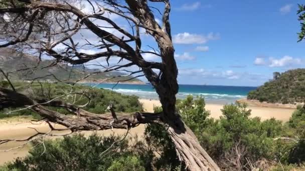 Wilsons Promontory, Victoria, Avustralya 'da güzel manzara. — Stok video