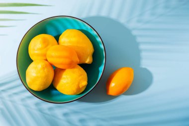 Mavi arka planda parlak sarı limonlu bir kase. Güneşli bir sabah, sert ışık, gölgeler. Seçici odak noktası.