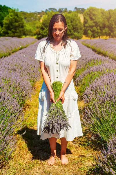 Mujer sosteniendo un manojo de lavanda en medio de una granja de lavanda. —  Fotos de Stock