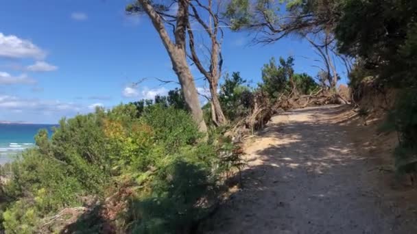 Pemandangan indah di Wilsons Promontory, Victoria, Australia. — Stok Video