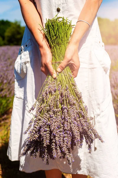 Γυναίκα Που Κρατάει Ένα Μάτσο Λεβάντα Στη Μέση Μιας Φάρμας — Φωτογραφία Αρχείου