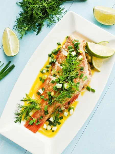 Sea Bass — Stock Photo, Image