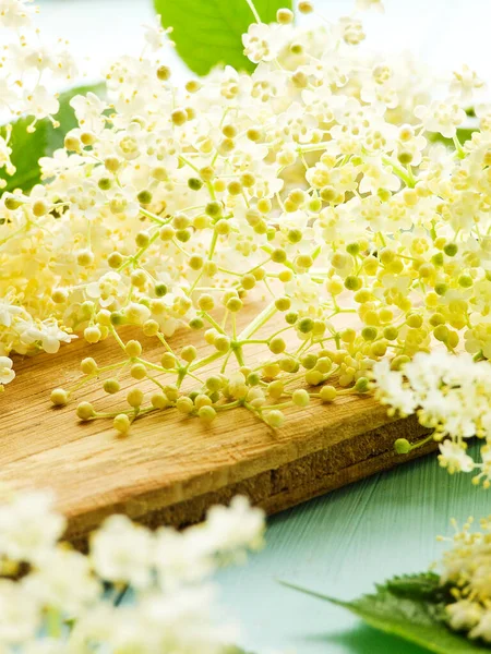 Fläderbär Blommor Trä Bakgrund Grunt Dof — Stockfoto