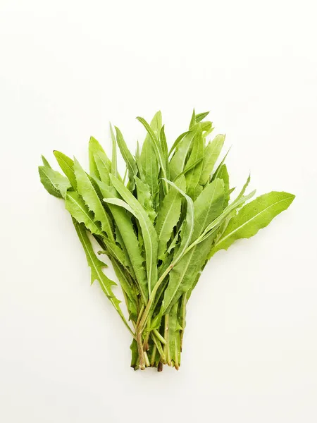 Sonchus Arvensis Veldmelkdistel Witte Houten Ondergrond Ondiepe Dof — Stockfoto