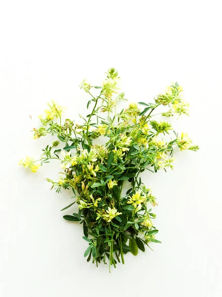 Astragalus Danicus Blommor Vit Trä Bakgrund Grunt Dof — Stockfoto
