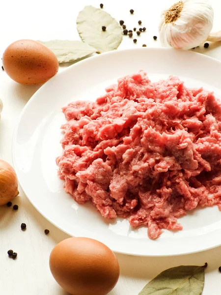 Gemalen Vlees Kruiden Specerijen Plaat Ondiepe Dof — Stockfoto