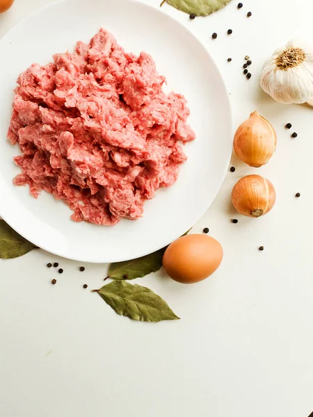 Viande Hachée Herbes Épices Dans Assiette Dof Peu Profond — Photo