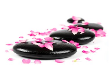 gül yaprakları ile Spa taşlar