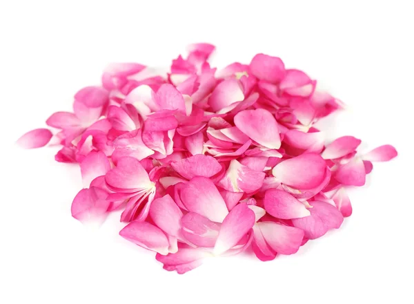 Roze rozenblaadjes achtergrond — Stockfoto