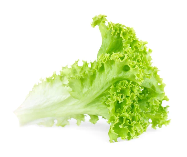 Ensalada de lechuga verde fresca aislada sobre fondo blanco . — Foto de Stock