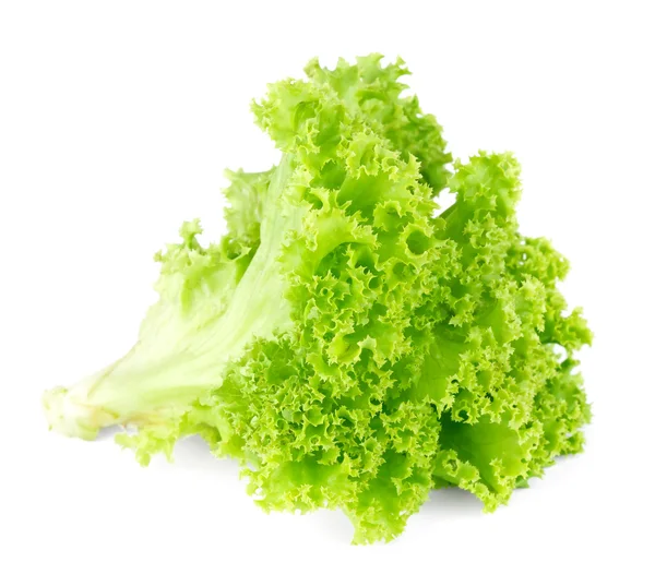 Beyaz arkaplanda taze yeşil marul salatası. — Stok fotoğraf