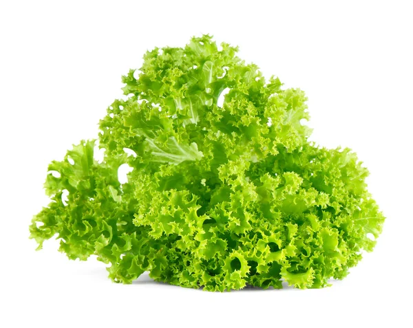 Ensalada de lechuga verde fresca aislada sobre fondo blanco . — Foto de Stock