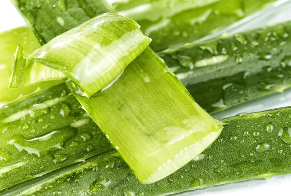 Aloe Vera — Stockfoto