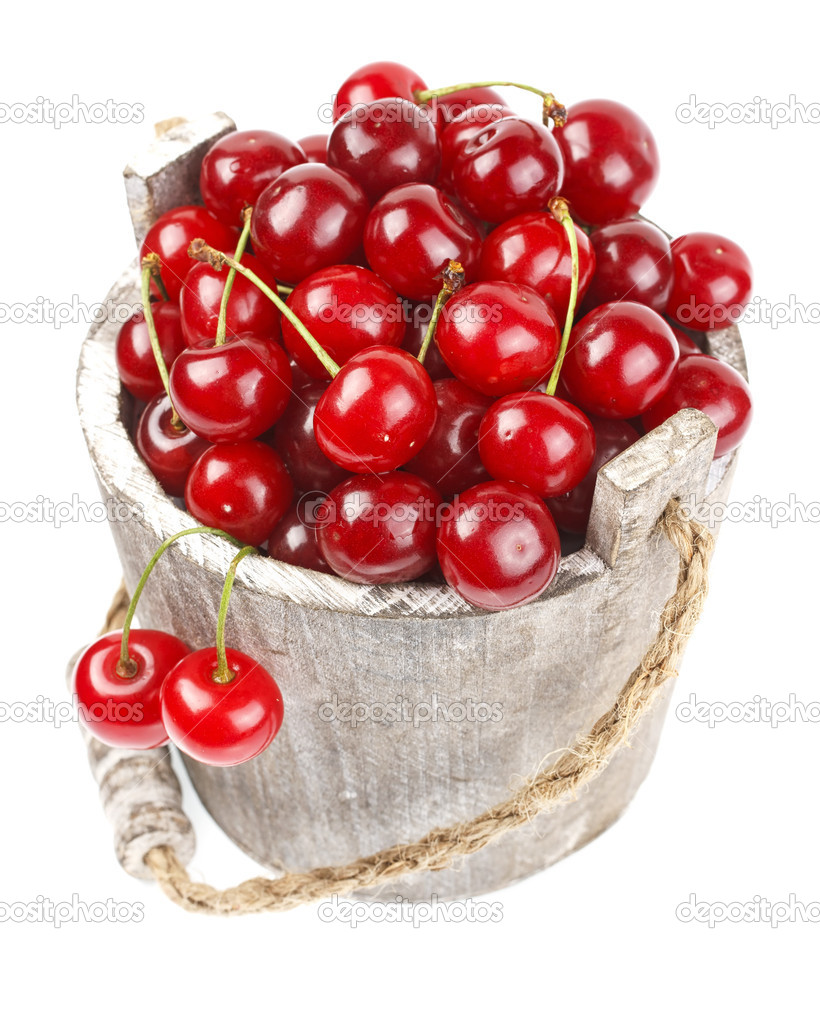 Fresh cherries in a wood bucket