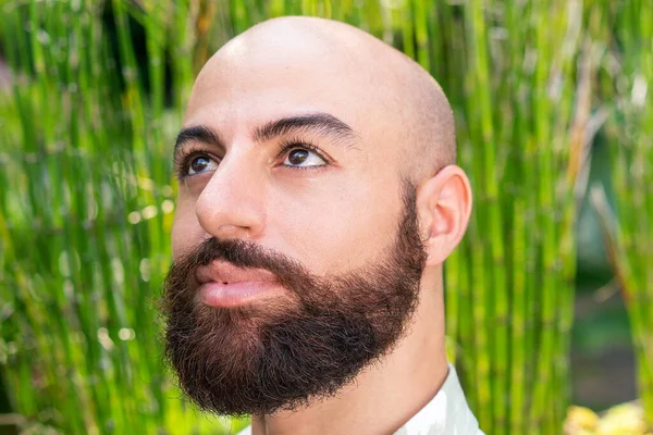 Bearded man looking up closeup portrait — Stockfoto
