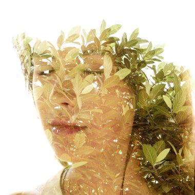 Genç bir kadının portresiyle birleştirilmiş bir ağaç görüntüsü.