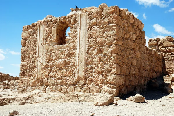 Antigua fortaleza Massada — Foto de Stock