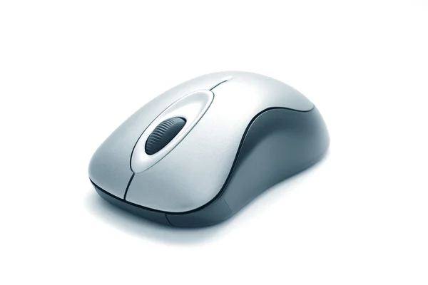 Computer mouse — Stock Photo, Image