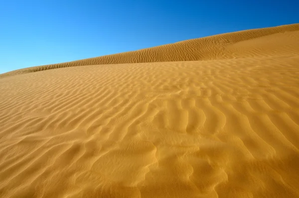 Pouštní písečné duny — Stock fotografie