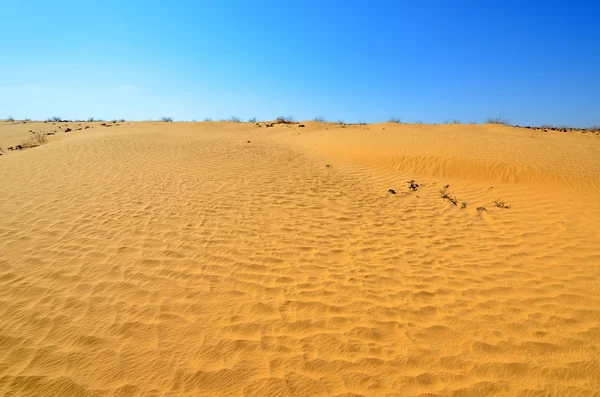 Wüstensanddünen — Stockfoto