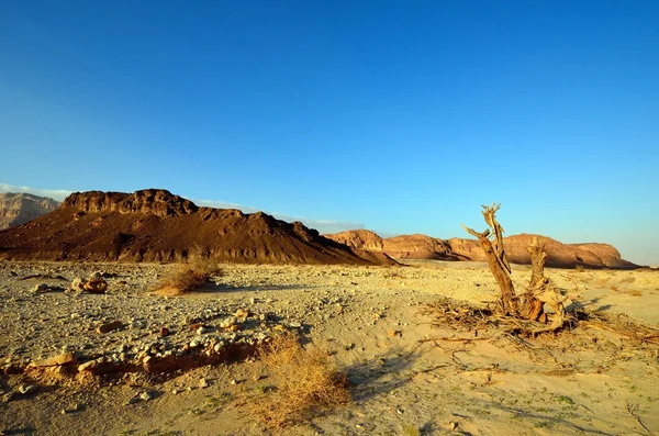 Timna Valley — Stock Photo, Image