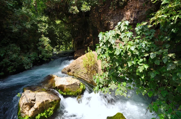 Banias Waterfall — Stock Photo, Image
