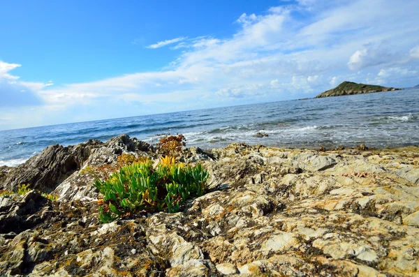 Kayalık sahil — Stok fotoğraf