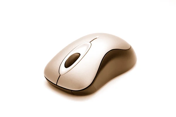 Computer mouse — Stock Photo, Image