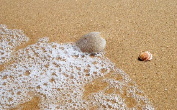 Pebble on the beach — Stock Photo, Image