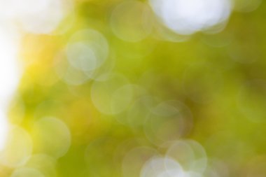 arka plan bulanıklık görüntü sarı yaz