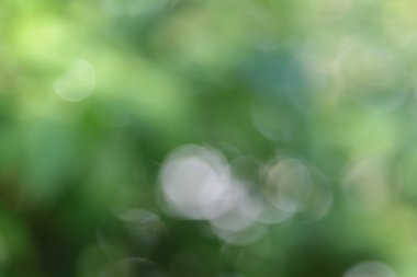 soyut bokeh etkisi ile güzel doğal arka plan bulanık.