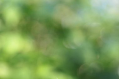 Yeşil güzel doğal arka plan